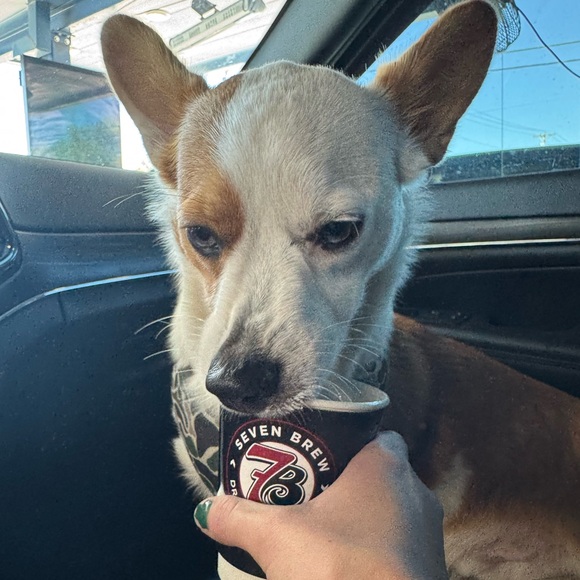 Meet your Posher, Sade - Picture 3 of 6